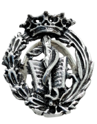 Insignias Profesionales