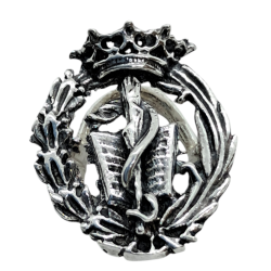Insignia profesional...