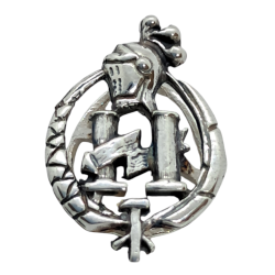 Insignia profesional Agente...