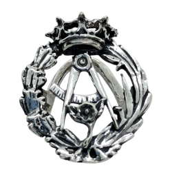 Insignia profesional...