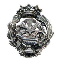 Insignia profesional...