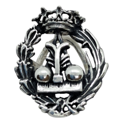 Insignia profesional Fisica...