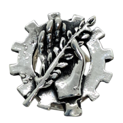 Insignia profesional...