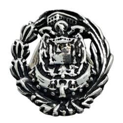 Insignia profesional Agente...