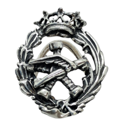 Insignia profesional...