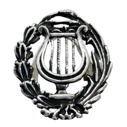 Insignia profesional Musica...