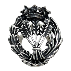 Insignia profesional...