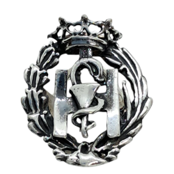 Insignia profesional...