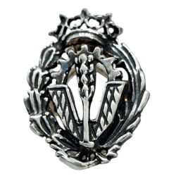 Insignia profesional...