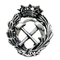 Insignia profesional...