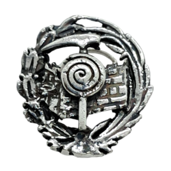 Insignia profesional...