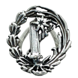 Insignia profesional Guia...