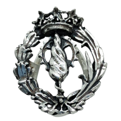 Insignia profesional...