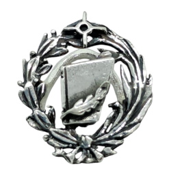 Insignia profesional...