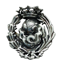 Insignia profesional...