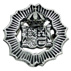 Insignia profesional...