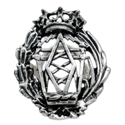 Insignia profesional...